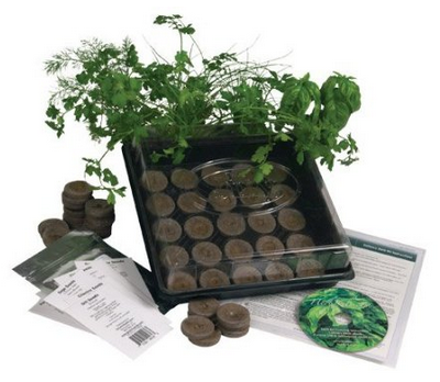 Screen Shot 2013-04-17 at 10.39.51 PM