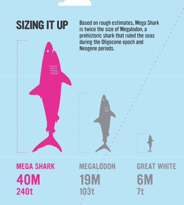 megashark-infographic