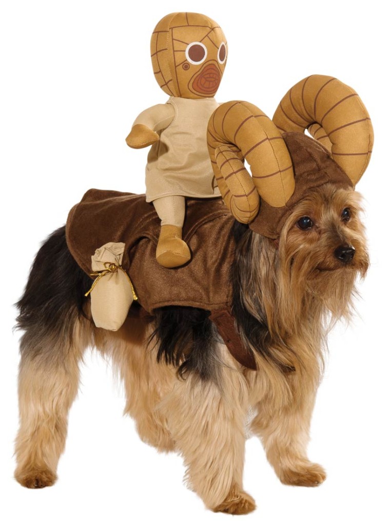 A dog wearing a Bantha costume