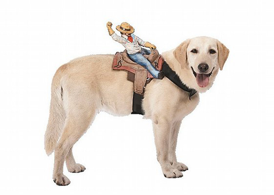 rodeo rider dog costume