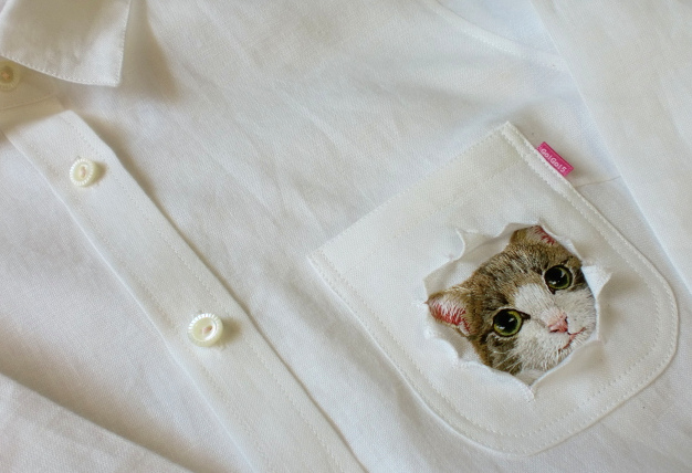 Cat Peeking out of torn pocket